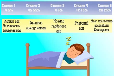 Как называется фаза сна когда снятся сны?
